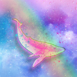 freetoedit background unicorn dolphin marin pastel cute kawaii adorable fantasy
