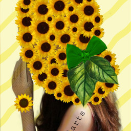 ediçõesmadô girasoli madôarts freetoedit ircsunflowerbeauty sunflowerbeauty