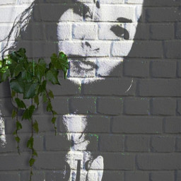 wall portrait leafs bricks grunge freetoedit