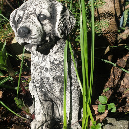 freetoedit statue dog