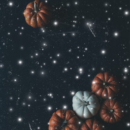 freetoedit halloween halloween2021 spookyseason spooky cantwait pumpkins stars happyhalloweenyall happyhalloween halloweenchallenge vote eccelebratinghalloween celebratinghalloween #halloween #halloween2021