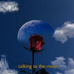 freetoedit softiexleapost post replay dark rose talkingtothemoon text moon sky fyp