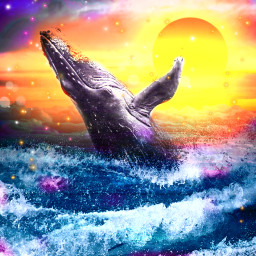 freetoedit ocean whale srcthewhale thewhale