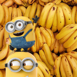 freetoedit minions yellow ecdeliciouscolors deliciouscolors