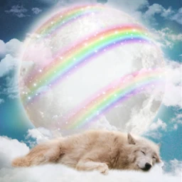 dog rainbow undertherainbowremixchallenge reggie7 freetoedit srcundertherainbow undertherainbow