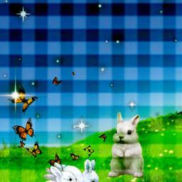 freetoedit night bunnies