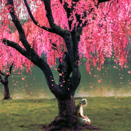 cherrytree dreaming heypicsart dreamy spring tree lake landscape cosy cosyplace girl vibes dream pink colors freetoedit