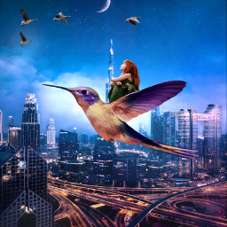 freetoedit girl bird flying dubai ducks night fantasy moon city cityscape alienized alienizedarts wallpapers uhd picsarteffects editedwithpicsart picsartaienhance digitalart