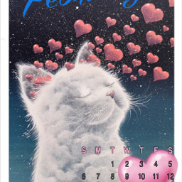 cat love valentinesday februarycalendar2022 freetoedit srcfebruarycalendar2022