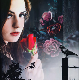 freetoedit woman fence night graveyard rose pretty raven redrose face eyes person ominous