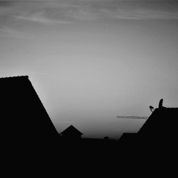 blackandwhite silhouette urban sky myphotography freetoedit