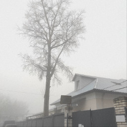 fog foggy atmosphere despair building roof filter picsart photo photography phone redmi redminote9pro freetoedit