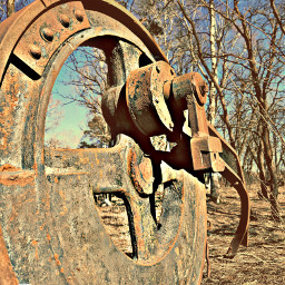 freetoedit photography rusty technical forest local