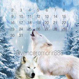 wolves snowing calendar january freetoedit srcjanuarycalendar2022 januarycalendar2022