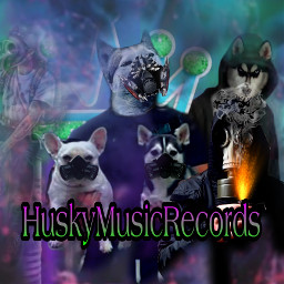 huskymusicre huskymusicrecords huskydog huskyremix huskychimbrushcontest husky_dog huskys huskylife freetoedit