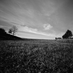 landscape blackandwhite horizon sjy myphotography freetoedit