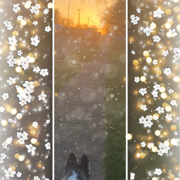 my walking sunset