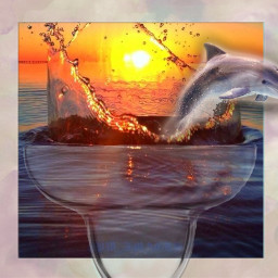 sealife dolphin meer sea fish water underwater sunset sunshine sunrise ircmyfavebeverage myfavebeverage freetoedit