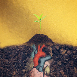 soil sprout heart hope madewithpicsart editedbyme stickers picsartefects freetoedit