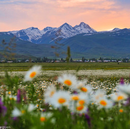 armenia aragats mountains nature sunset local