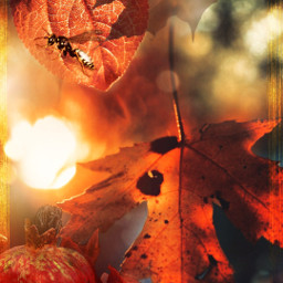myedit autumn doubleexposure leaves colors wasp insect fantasy freetoedit