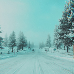 winter landscape trees snow road blue sky cloud ice white season aesthetic background california travel wilderness nature photography tree day freetoedit