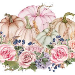 freetoedit pumpkins harvest flowers frog roses pastel thanksgiving