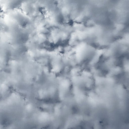 clouds fluffy pcskyphotography skyphotography