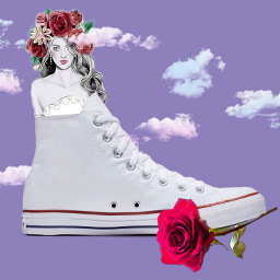 roses woman shoe sneakers clouds freetoedit ircdesignthesneaker designthesneaker