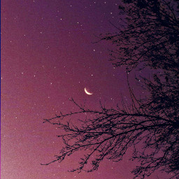 sky stars purple blue trees سماء نجوم ليل شجر شجرة بنفسجي ازرق freetoedit