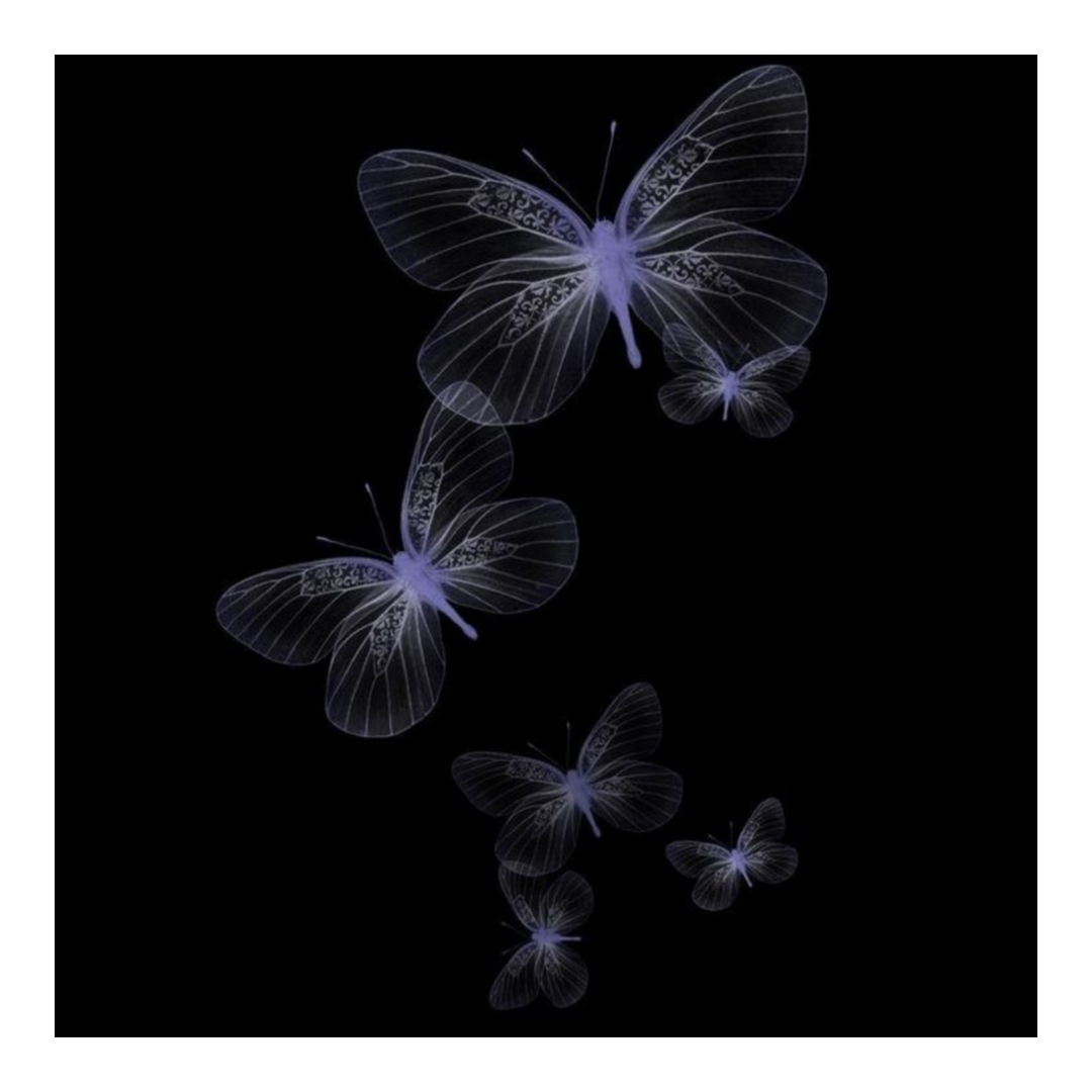 butterfly butterflywings fairyedi fairy sticker by @fairyedi