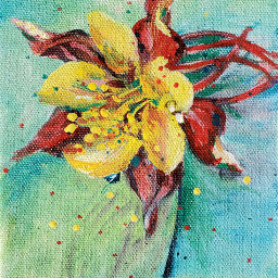 acrylicpainting painting flower columbineflower artwork