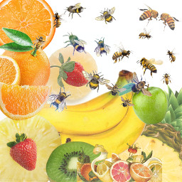 multiple manyobjects fruit banana yummy strawberries orange food abelha freetoedit ecobjectportraits objectportraits