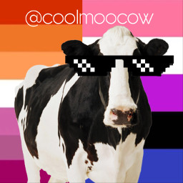 freetoedit cow pfp lesbian genderfuid coolmooprofpic