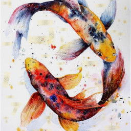 freetoedit koi fish glitter watercolor