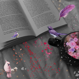 freetoedit flowers petales petalesdefleurs fleurs petals rose pink plume birds oiseaux rouge red livre book libro write ecriture ecrire tasse cup cutation cuicui