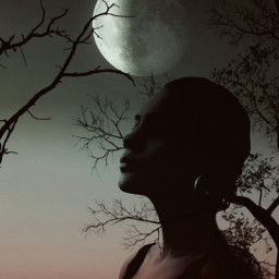 woman moon night trees heypicsart be-creative freetoedit be