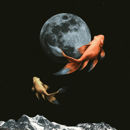 space mountain fishs moon freetoedit unsplash