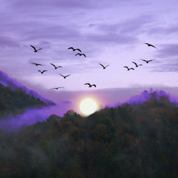 sunset purple purpleaesthetic clouds cloudy woods mountains mountainview colorful birds backgrounds freetoedit