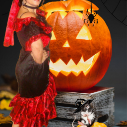 animal pumpkin halloweenspirit scared funny october creepy scary
