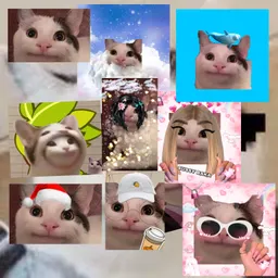 feverakacookie Profiles on Picsart