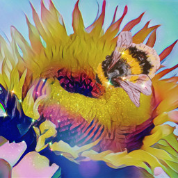 freetoedit nature flower sunflower bees garden beauty