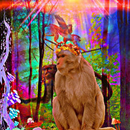 theguardians monkeys nature collage rainbows fairycore otherworld vibes trippyvibe psychedelics collagecreate artblogger freetoedit