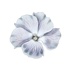 lightblue babyblue pastelblue softblue white whiteaesthetic scrapbook bulletjournal flower flowers whiteflower blueflower freetoedit