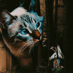 edit animal cat pet freetoedit picsart picsartedit fantasy imagination surrealism madewithpicsart