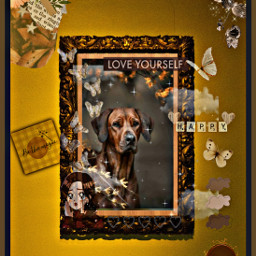 freetoedit collage dog pup puppy petsandanimals love ircframeit frameit