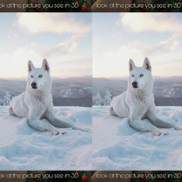 wolf 3d snow freetoedit
