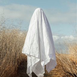 freetoedit freetoremix halloween sheet ghost