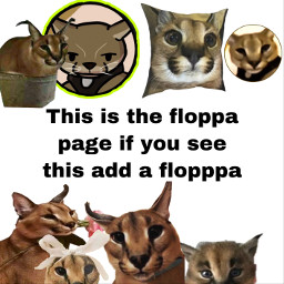 floppa yes floppamybeloved floppapage freetoedit