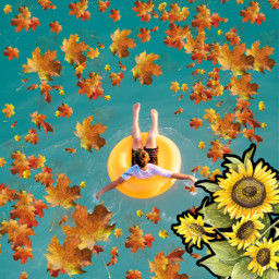 autumn autumnvibes sunflowers float floatie boy freetoedit ircpoolfloat poolfloat